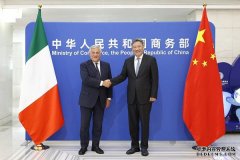 王文涛部长会见意大利副总理兼外交部长塔亚尼